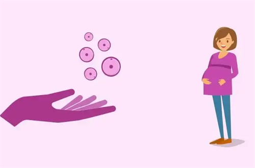 供卵者年齡越小成功率越高？25歲vs35歲供卵的真實差異